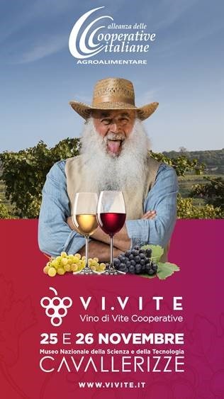 VI.VITE - Vino di Vite Cooperative: pubblicazione sito web